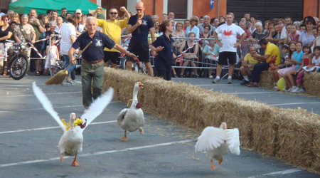Il palio delle oche di San Maurizio Canavese