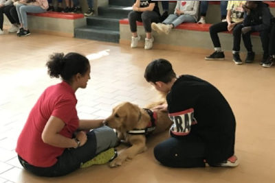 Nelle sedute di IAA (Interventi Assistiti con Animali) è dimostrato inequivocabilmente che sia gli equini sia i cani vivono uno stato di stress