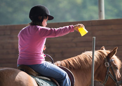 Nel caso dell’ippoterapia gli equidi devono accettare di essere cavalcati da persone che possono non avere particolare esperienza