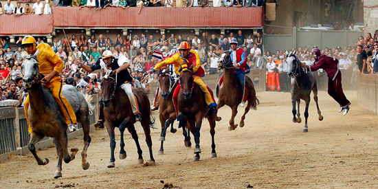 Palio di Siena, la sofferenza dei cavalli